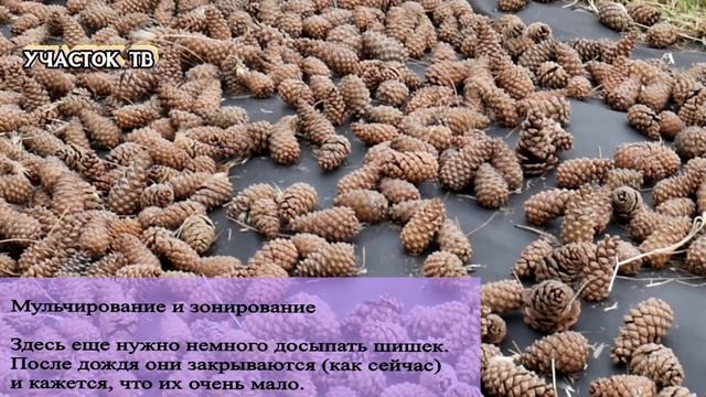 Стройка Вдохновения