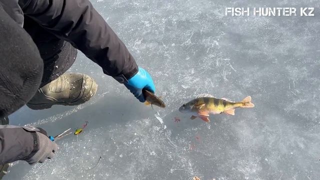 Зимняя рыбалка. Жалагаш. Рыбалка 2023. смотреть онлайн