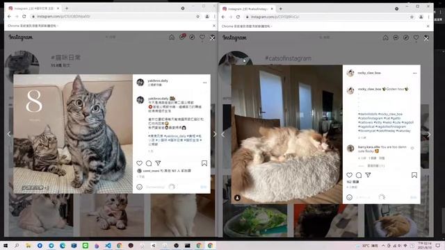 Instagram automation Python смотреть онлайн