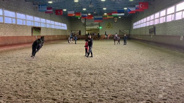 Верховая езда//КОНОБЛОГ// Виды аллюра - мой первый ГАЛОП смотреть онлайн