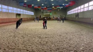 Верховая езда//КОНОБЛОГ// Виды аллюра - мой первый ГАЛОП