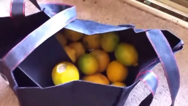 Как мы с подружкой засолили лимоны смотреть онлайн