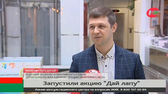 В Нижневартовске объявили сбор кормов для бездомных животных смотреть онлайн