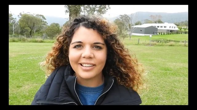 Homeschool Curriculum in a BOX | What's so SPECIAL About These? смотреть онлайн