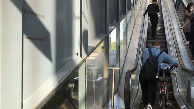 VELOBIKE In Moscow. Тест ДРАЙВ ВЕЛОБАЙКА/Как взять в аренду велосипед/КОНТЕНТ.