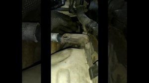 Замена прокладки крышки клапанов Porsche Cayenne 3,6 V6 Замена мембраны в крышке клапанов