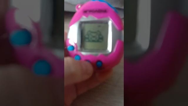 как ухаживать за Тамагочи? |LizaPlay Тамагочи|