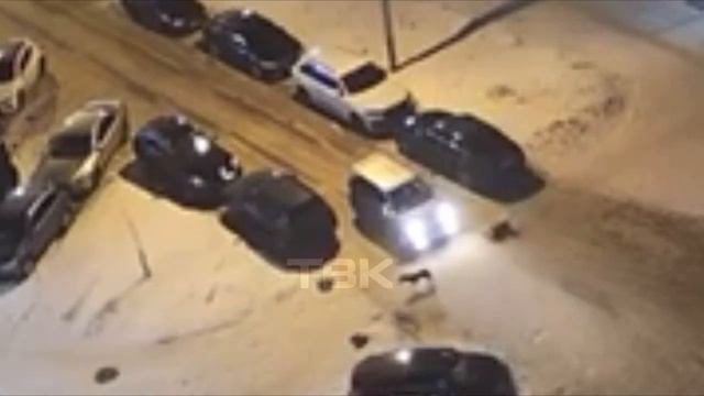 Собака с ребенком на плюшке чуть не попали под машину в Красноярске смотреть онлайн