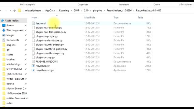 Resynthesizer : supprime un élément gênant s'une photo avec le filtre heal selection dans GIMP смотреть онлайн