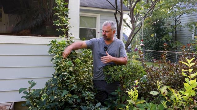 10 Plants That Are Thriving After a Tough Summer Season. смотреть онлайн