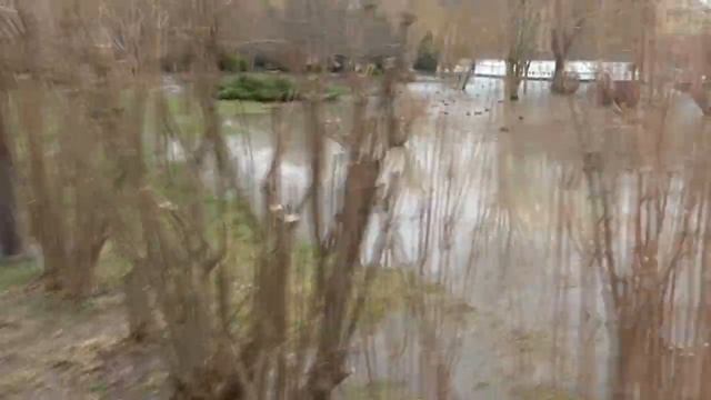 Большая вода в Абрау-Дюрсо. 07.02.2022 смотреть онлайн