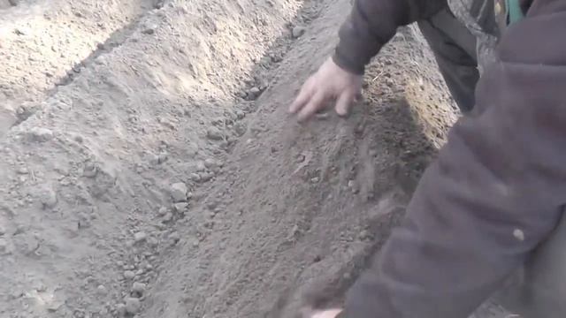 ПРОДОЛЖЕНИЕ..САЖАЕМ КАРТОШКУ МОТОБЛОКОМ смотреть онлайн
