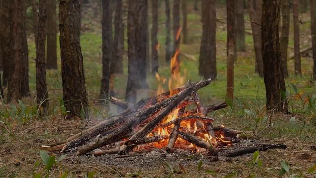 звук костра,Для новых удивительных идей смотреть онлайн