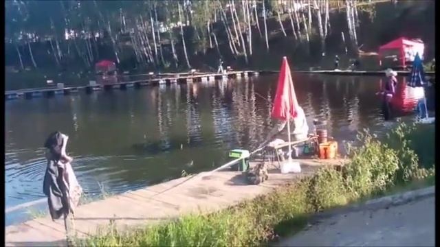 Рыбалка по форели и осетру в Подмосковье смотреть онлайн