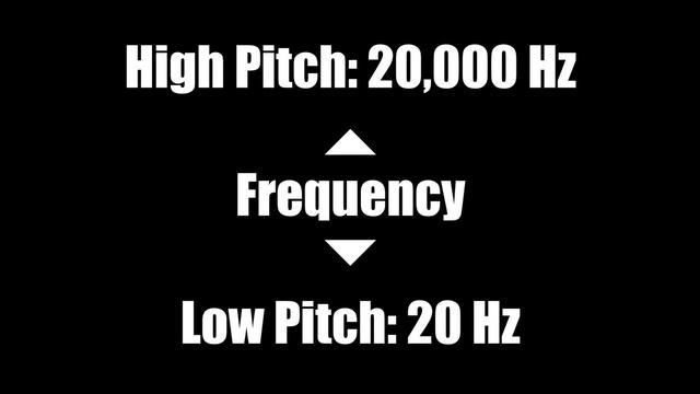 How to Tune a Bass Pt 1 of 3 | StudyBass смотреть онлайн