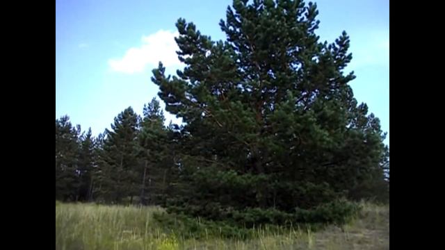 Я нашла это место!.. смотреть онлайн