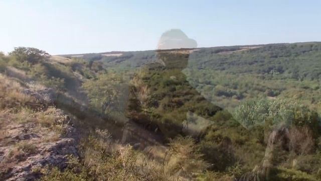 14_08_2019_ЧАЙНЫЙ ЛЕС_Ставропольский край.mp4 смотреть онлайн