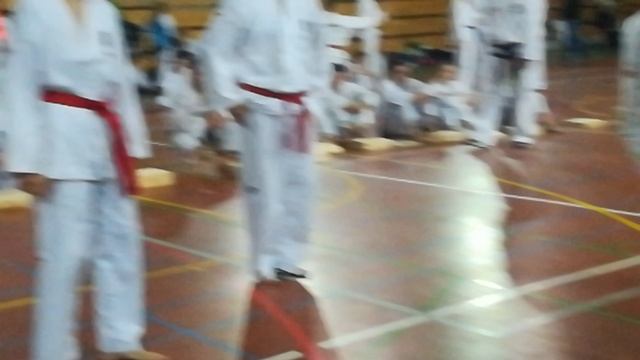 сын дощечки шинкует