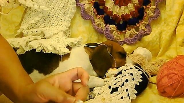 ЛЕНТОЧНОЕ КРУЖЕВО СОЕДИНЕНИЕ смотреть онлайн