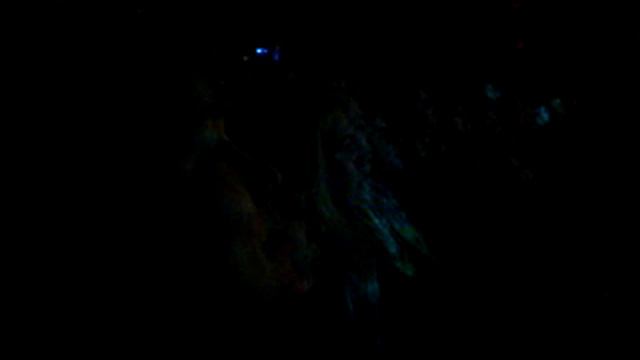 PIKNIK_kiev2011_nevopere