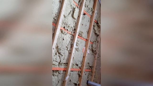 Мыши в частном доме и борьба с ними смотреть онлайн