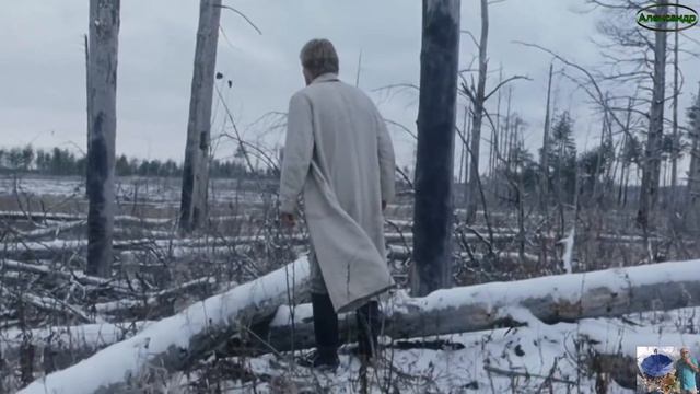 Бездомная комната Виталий Гасаев смотреть онлайн