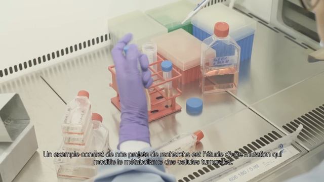 Meet the scientists: Simone Niclou, Oncologist смотреть онлайн