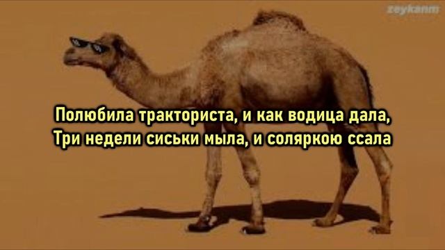 Азия Евразия - на горе стоит верблюд [текст песни/караоке] смотреть онлайн