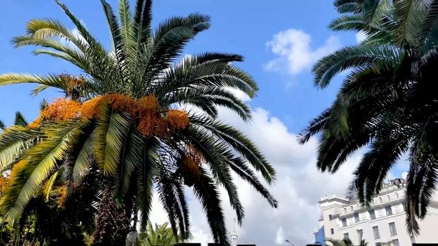 MD REGION SOCHI смотреть онлайн
