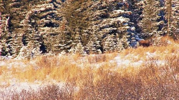 ❄ Beautiful Winter Snow Scene Relaxing Piano Music - Soothing Calming Sleep Meditation Study Music