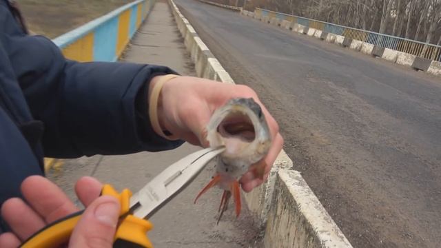 Что творится под мостом! РЫБАЛКА на УЛЬТРАЛАЙТ ? ЖОР ЩУКИ и ОКУНЯ смотреть онлайн