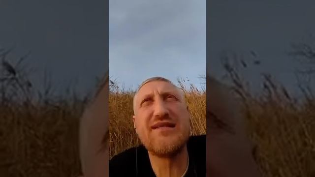 Как Миша Фитиль получил по яйцам))) смотреть онлайн