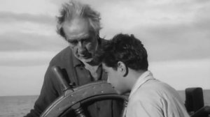 Черная чайка