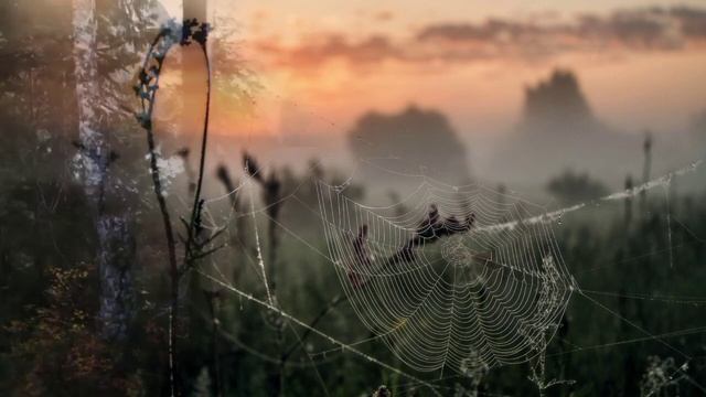 Вот и прошел еще один день смотреть онлайн