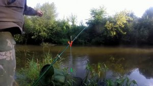 Самая практичная снасть для малой реки. Лучше фидера