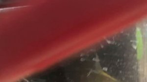 Как поменять лампочки в туманах туманам на ТЛК 200