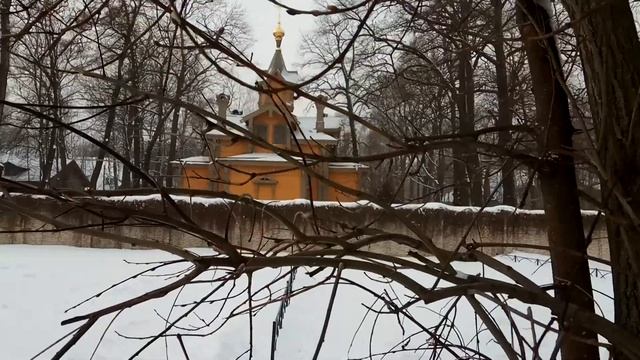 VID_20211220_120211 Левитан ( Н. Рубцов)...Павел Васильев Лахтинский смотреть онлайн