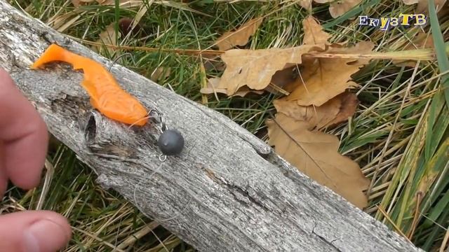 Бешенный Клёв Щуки на Пре/Стейк в диком лесу/МХ-24 смотреть онлайн