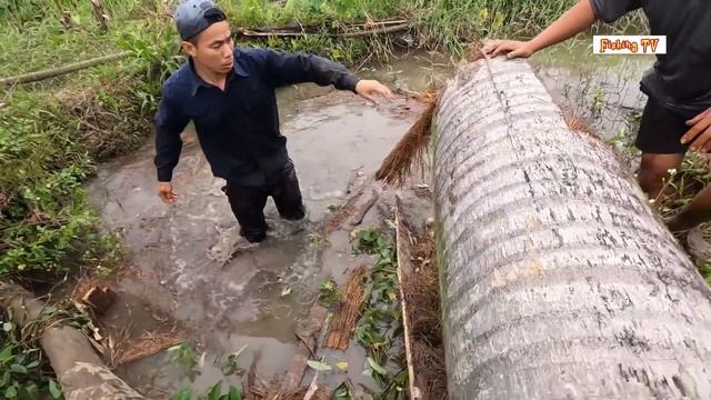 The Biggest Snake Ever Discovered On Earth | Fishing TV смотреть онлайн