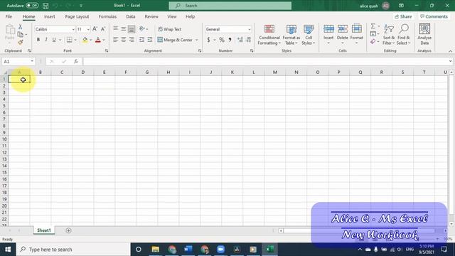 Chapter 1C - Microsoft Excel - New Workbook смотреть онлайн