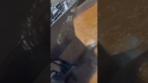 РАБОТА ЛОДОЧНОГО МОТОРА YAMAHA 40, 2х татный, короткий