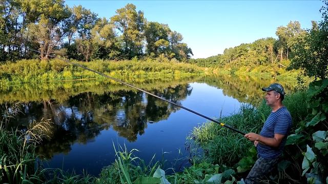 Рыбалка в августе на речке. Крупная плотва и другие смотреть онлайн