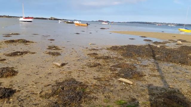 Presentation 00 смотреть онлайн