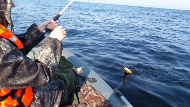Ловля трески смотреть онлайн