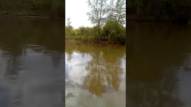Sea-pro 2.5 л.с. лодка бахта 265.