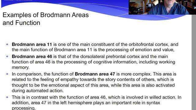 What Is Electroencephalography EEG?