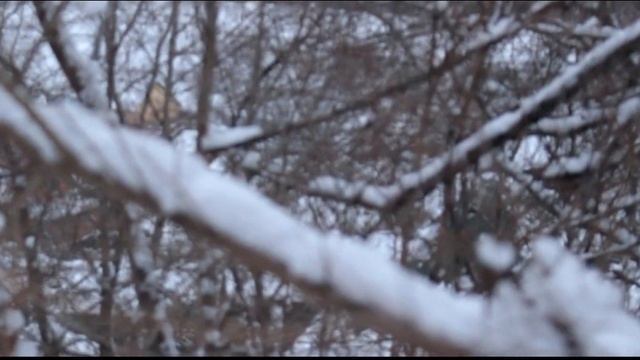 Canon 100D + EF-S 18-55 IS STM (Kit) видео тест смотреть онлайн