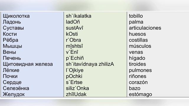 Habla Ruso Rápido, Aprende idioma con diálogos de tema Salud, clase 11, Curso de RUSO Conversaciona смотреть онлайн