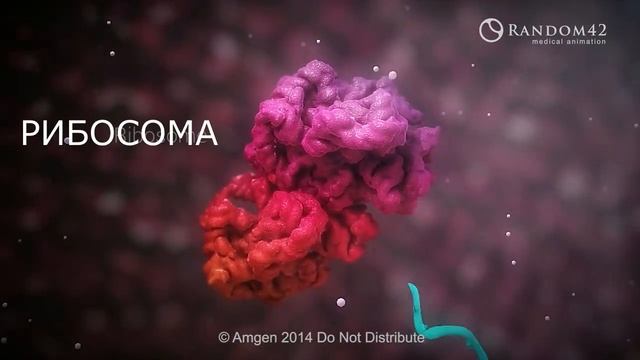 МОЛЕКУЛЯРНАЯ БИОЛОГИЯ (создание белка) смотреть онлайн