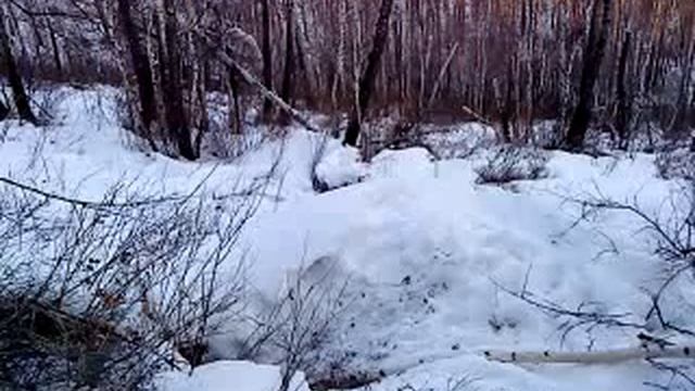 Два медведя в одной берлоге! смотреть онлайн